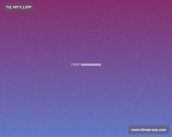 FM2014赛事全面汉化中文版震撼登场